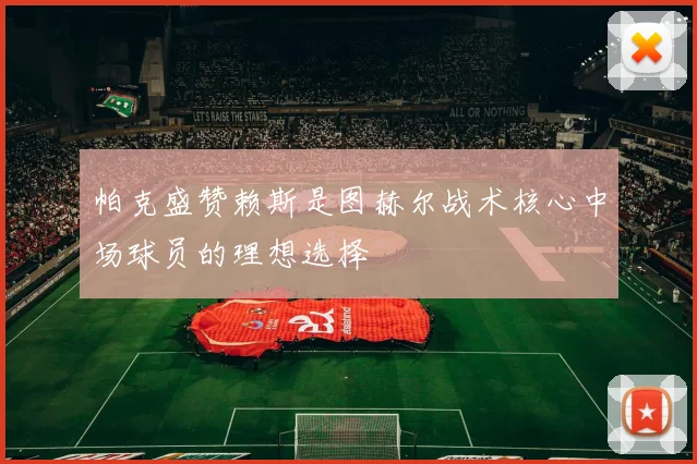 帕克盛赞赖斯是图赫尔战术核心中场球员的理想选择